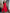 Rouge Dress