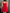 Scarlet Bloom Dress